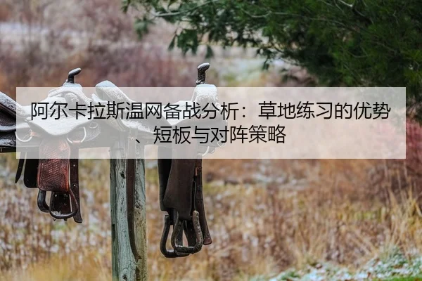 a-er-ka-la-si-wen-wang-bei-zhan-fen-xi-cao-di-lian-xi-de-you-shi-duan-ban-yu-dui-zhen-ce-lve-2-153.jpg
